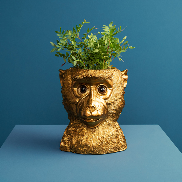 Flower pot monkey Bruce, gold